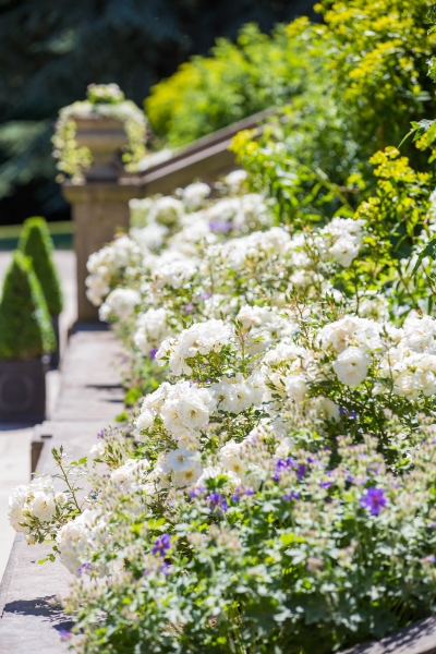 Goldsborough Hall